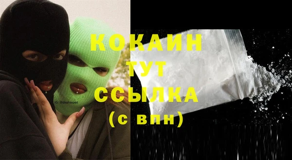 соль ск Абаза