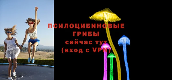 соль ск Абаза